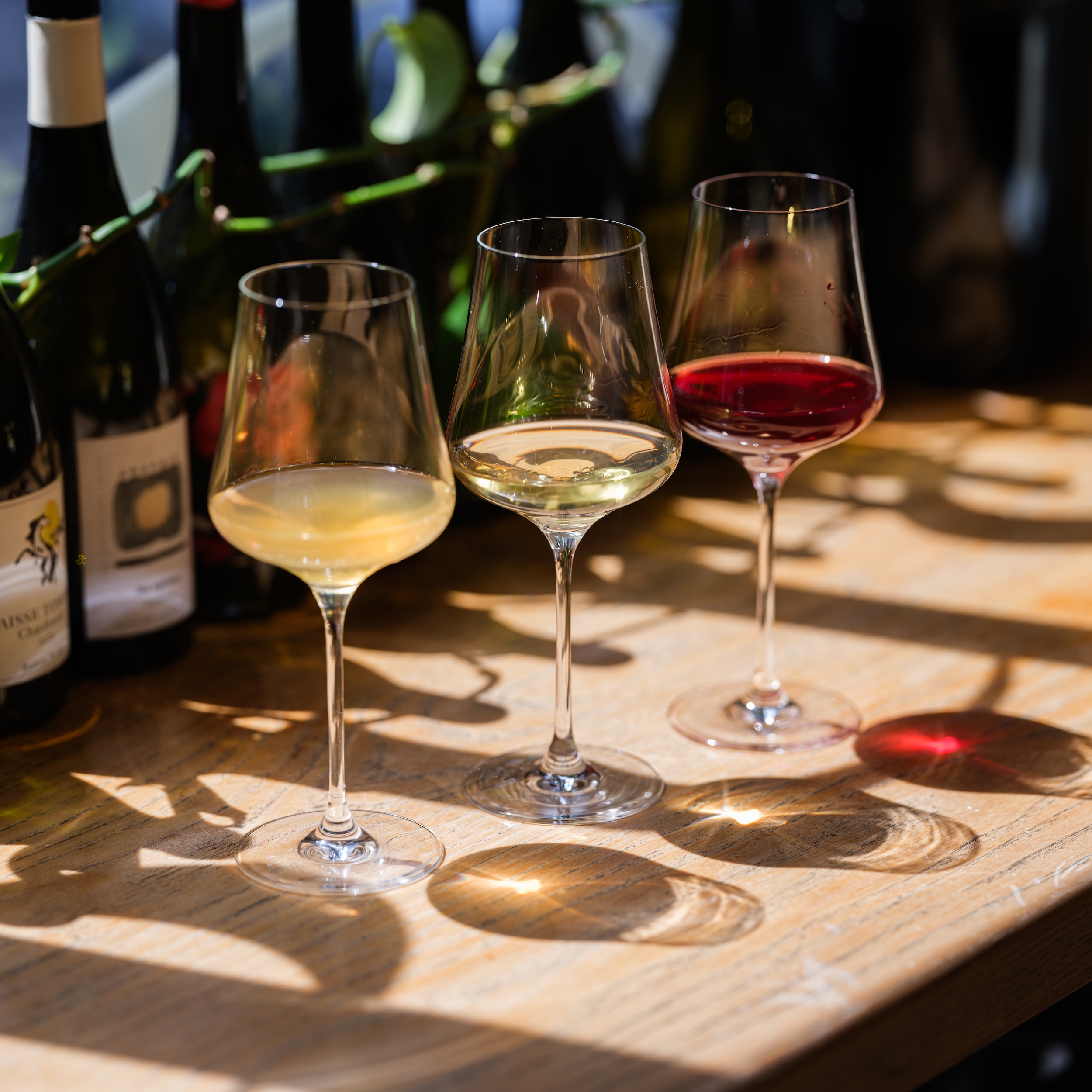 gabriel-glas-standart-2er-designkarton-universal-weinglas-f-r-alle-weine-95-mm-b image 8